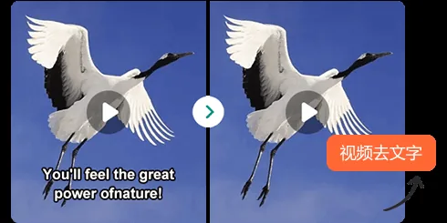 风控界面二